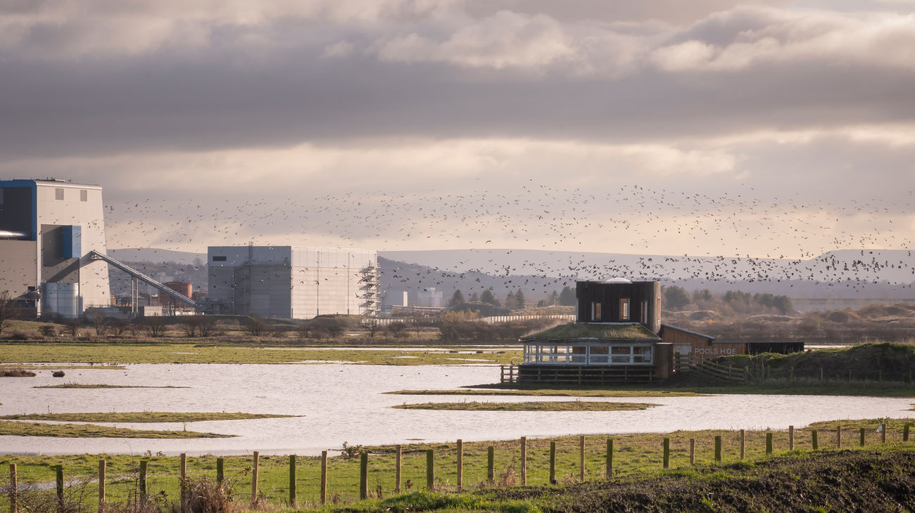 RSPB Saltholme Pools Hide - CGL Architects