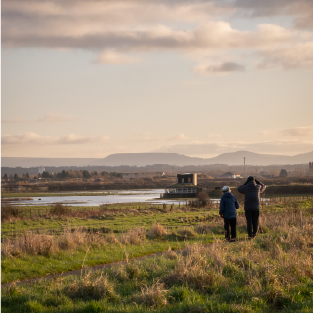 cgl-project-images-thumbnail-saltholme-pools-hide-64aebffb34888.png (original)