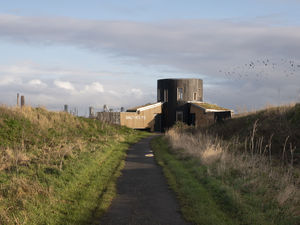 rspb-saltholme-jimstephenson-28-midres-5de7939718a24.jpg (small)